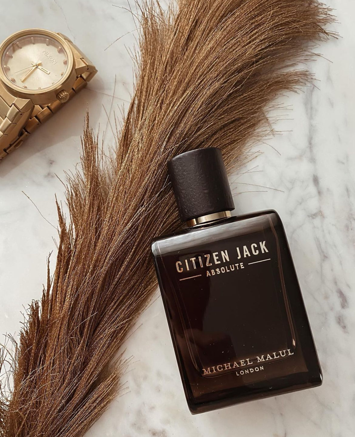 Citizen Jack ( Absolute)