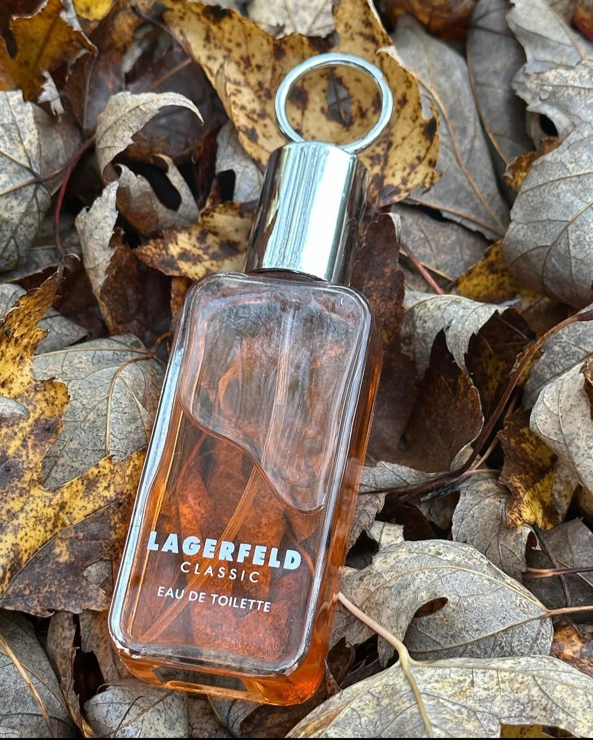 LAGERFELD ( Classic )