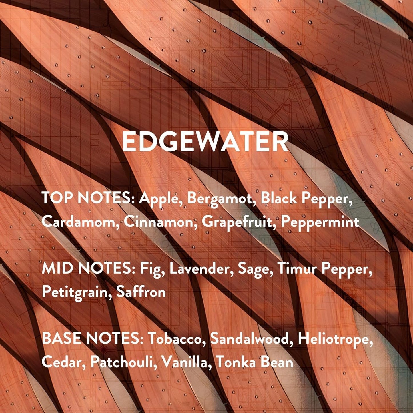 Michael Malul Edgewater Eau de Parfum for Men - 100ml | 3.4oz