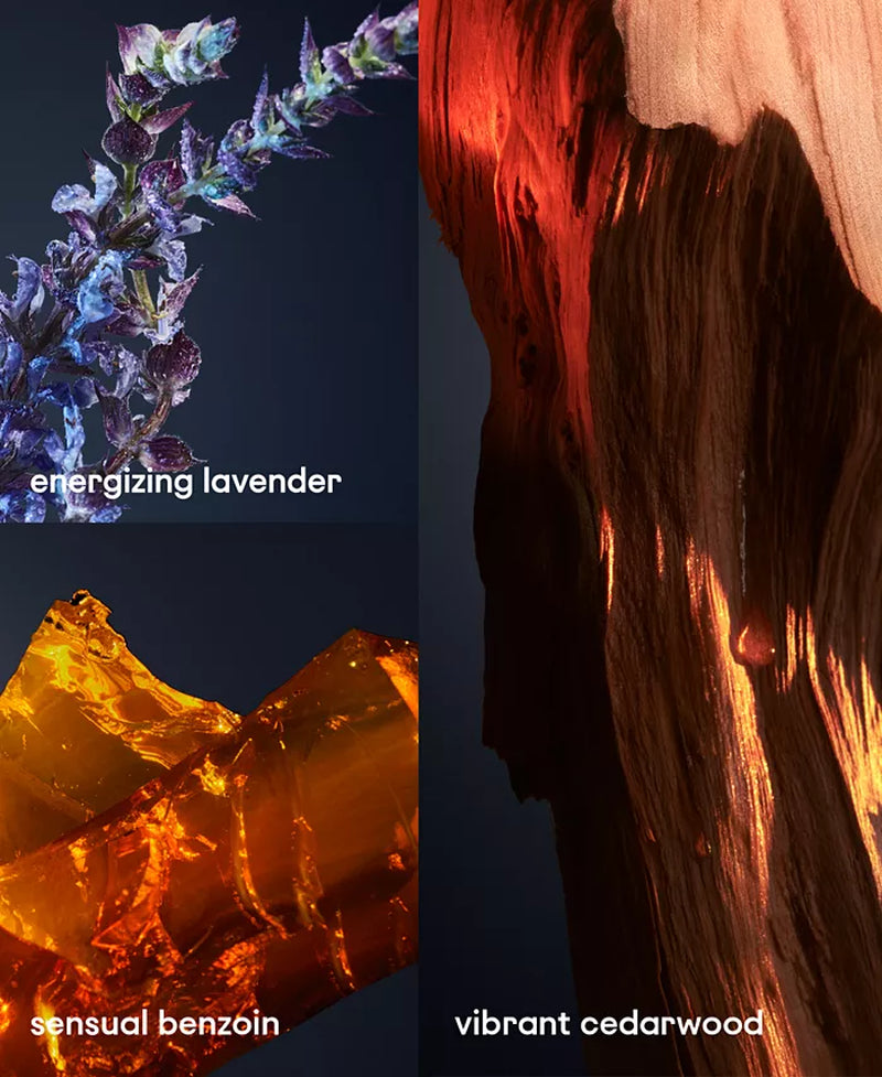 Men'S 1 Million Royal Parfum Spray, 6.8 Oz., Created for Macy'S