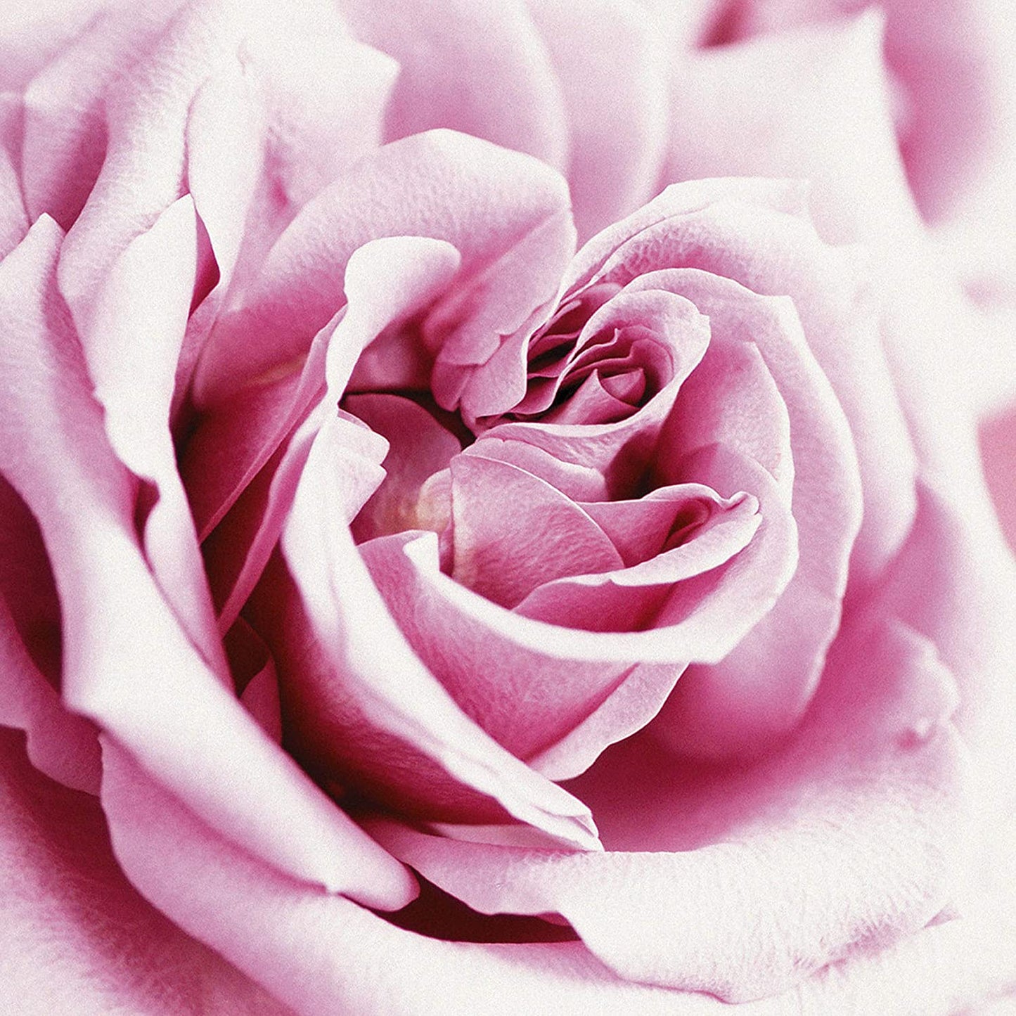 Women's Perfume, Fragrance by , Day or Night Scent, Eau de Parfum, CASUAL, 4 Fl Oz