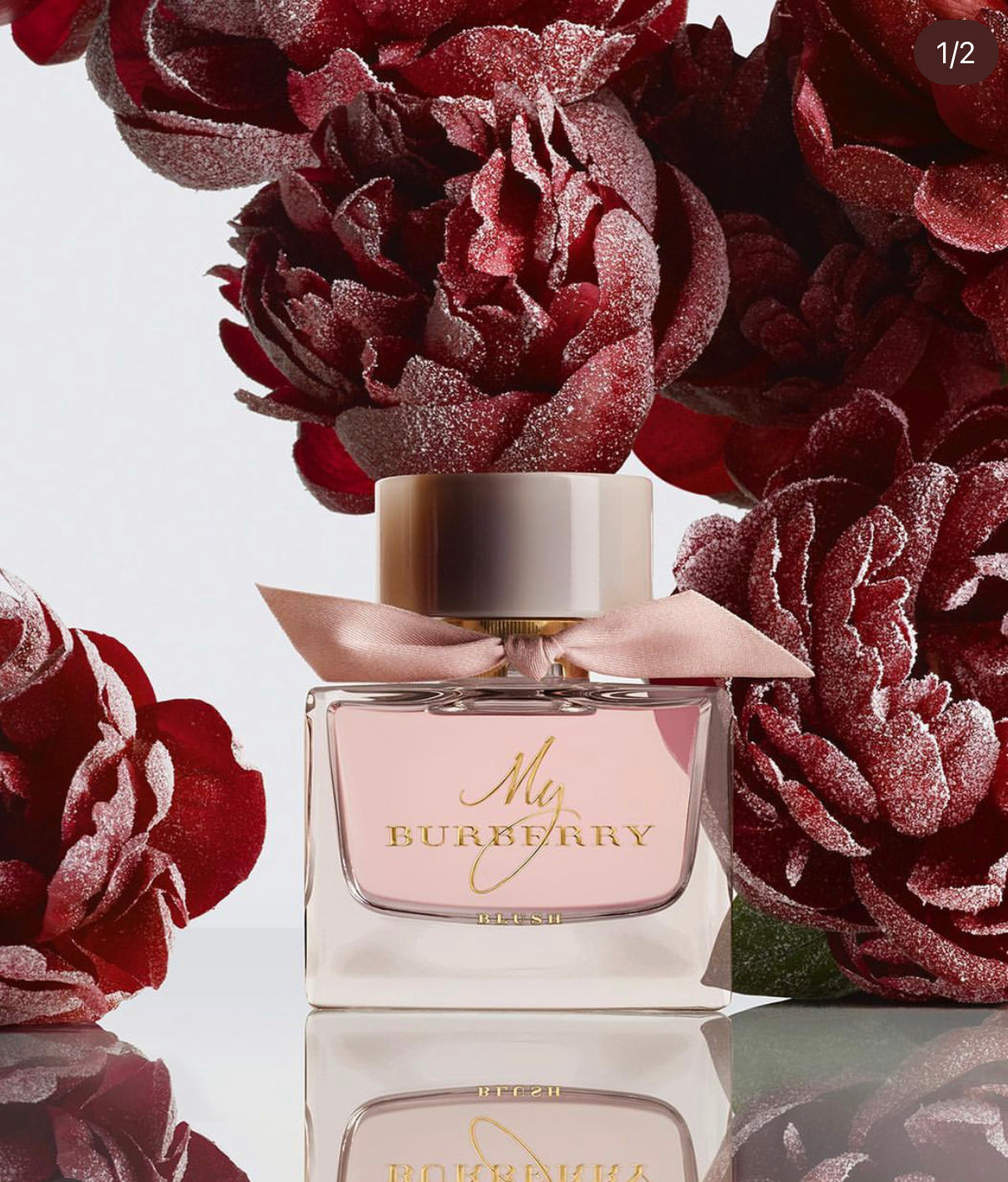 My BURBERRY ( Blush )