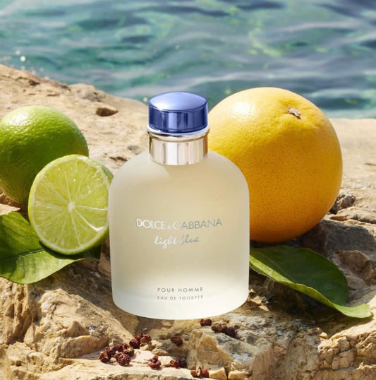 DOLCE & GABBANA ( Light Blue )