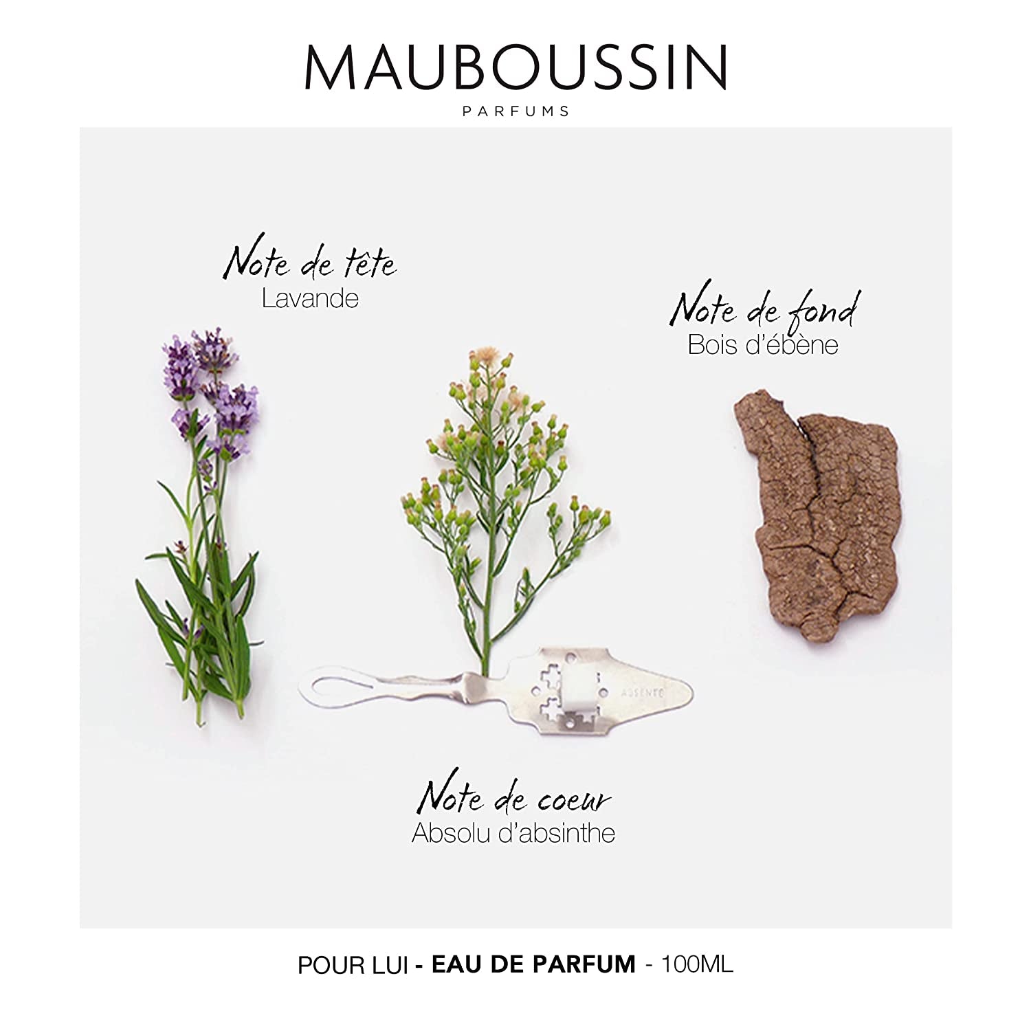 Mauboussin - Pour Lui 100ml (3.3 Fl Oz) - Eau de Parfum for Men - Ferny & Modern Scents