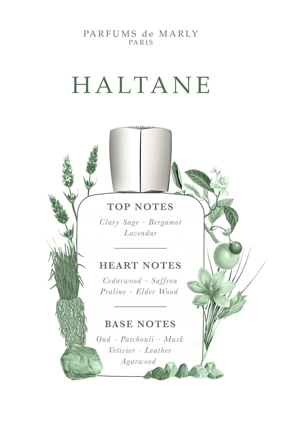 PARFUMS DE MARLY - Haltane - 2.5 Fl Oz - Eau De Parfum for Men - Top Notes Bergamot, Lavender, Sage - Heart Notes Saffron, Praline, Oudwood - Base Notes Patchouli, Musk, Natural Agarwood - 75ml