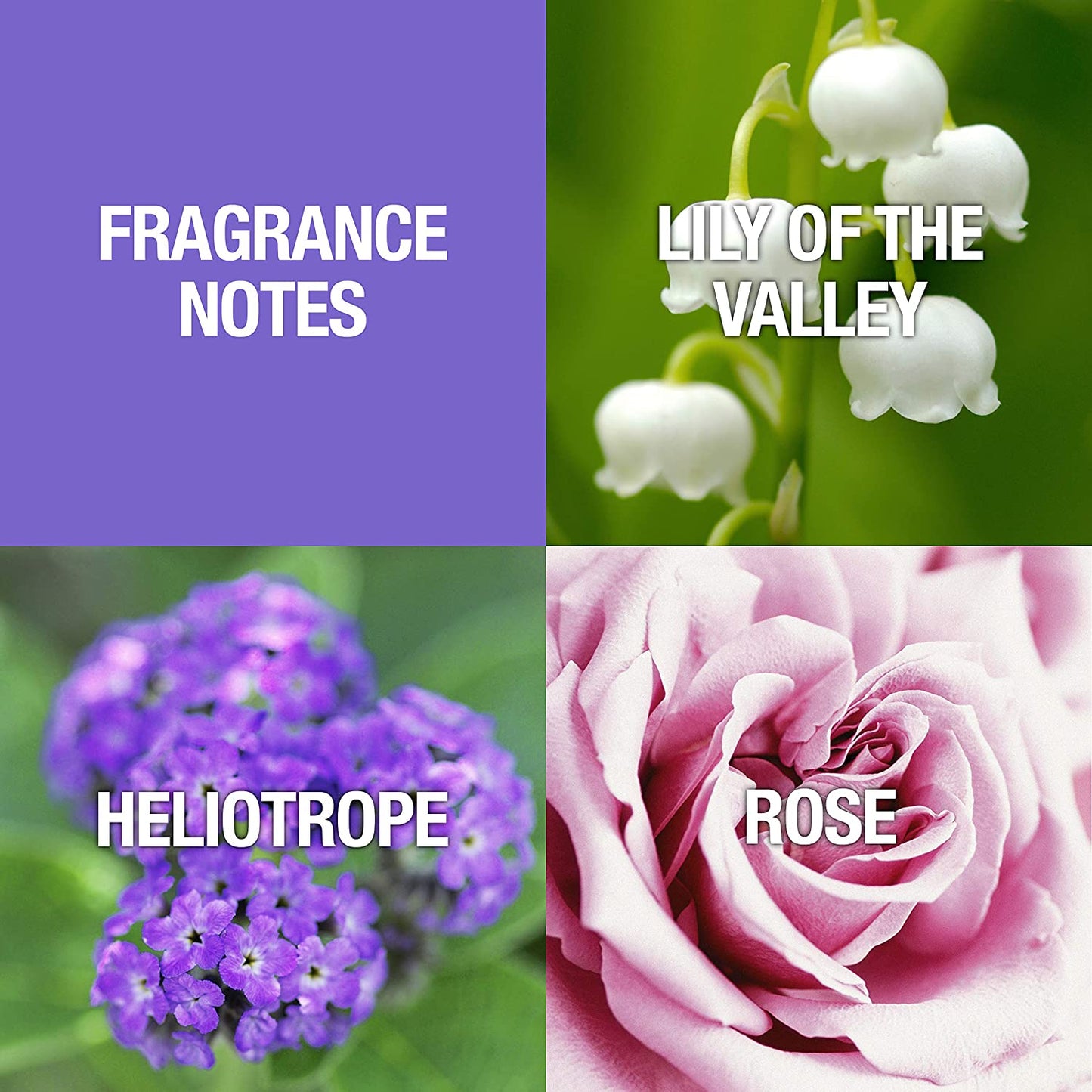 Women's Perfume, Fragrance by , Day or Night Scent, Eau de Parfum, CASUAL, 4 Fl Oz