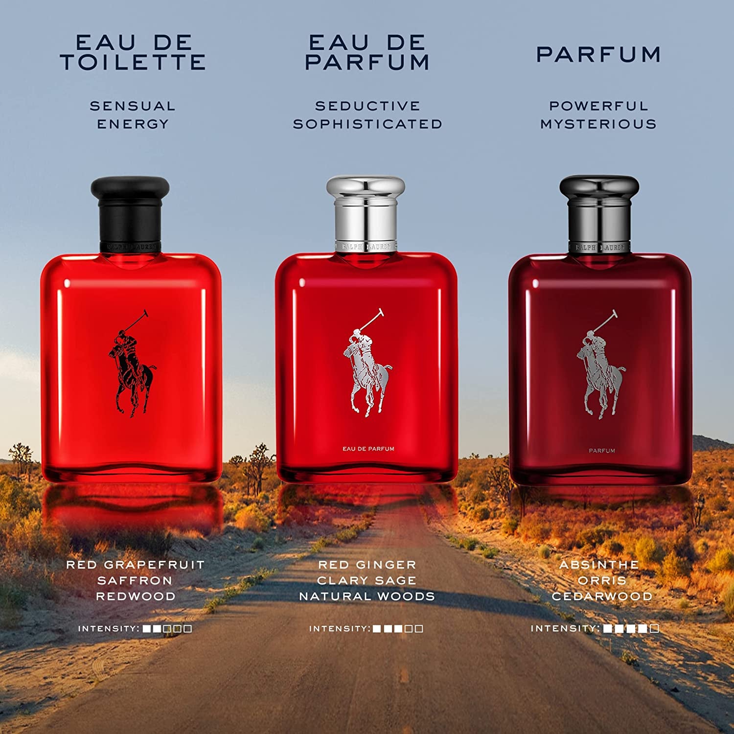 Ralph Lauren - Polo Red - Parfum - Men's Cologne - Ambery & Woody - With Absinthe, Cedarwood, and Musk - Intense Fragrance