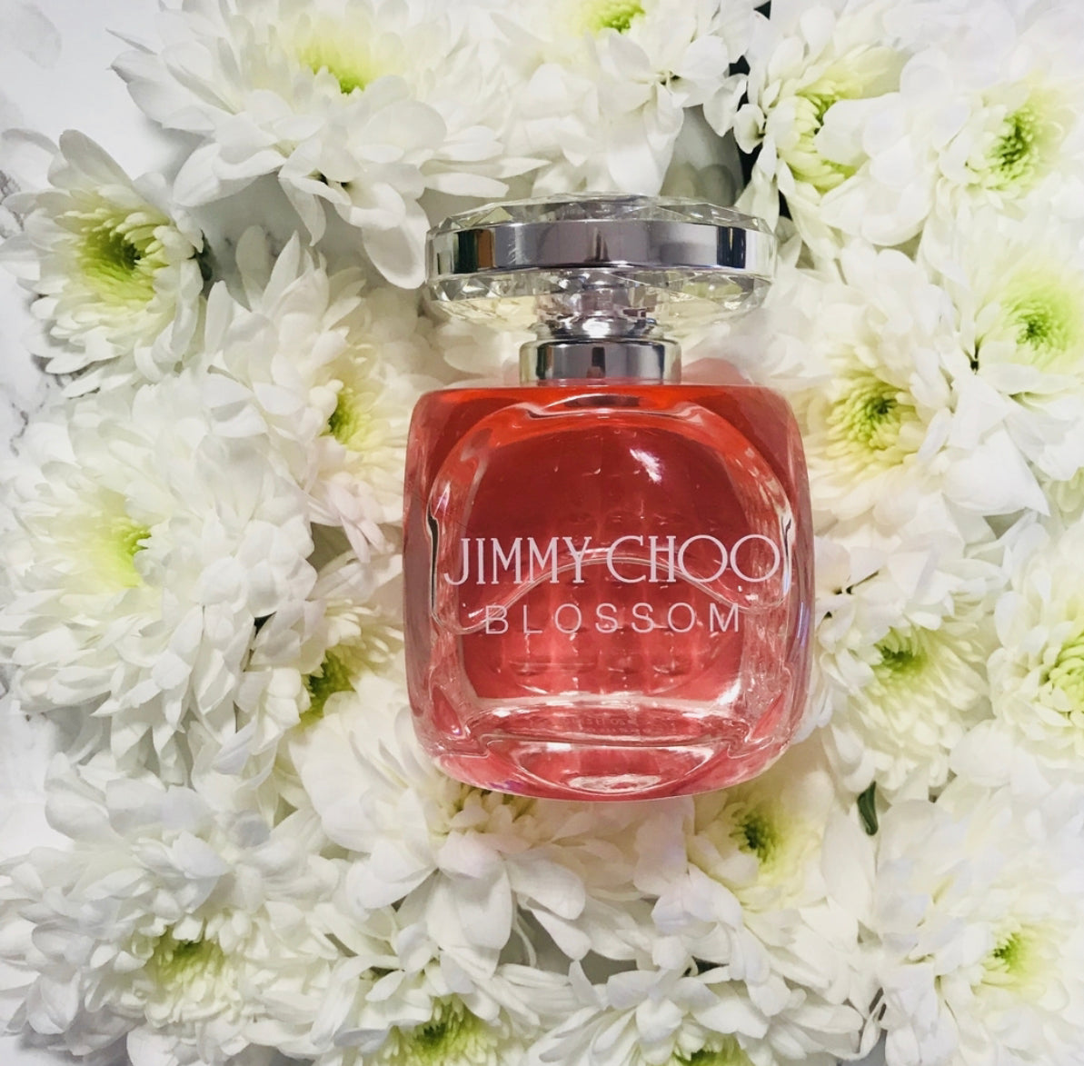 JIMMY CHOO ( Blossom)