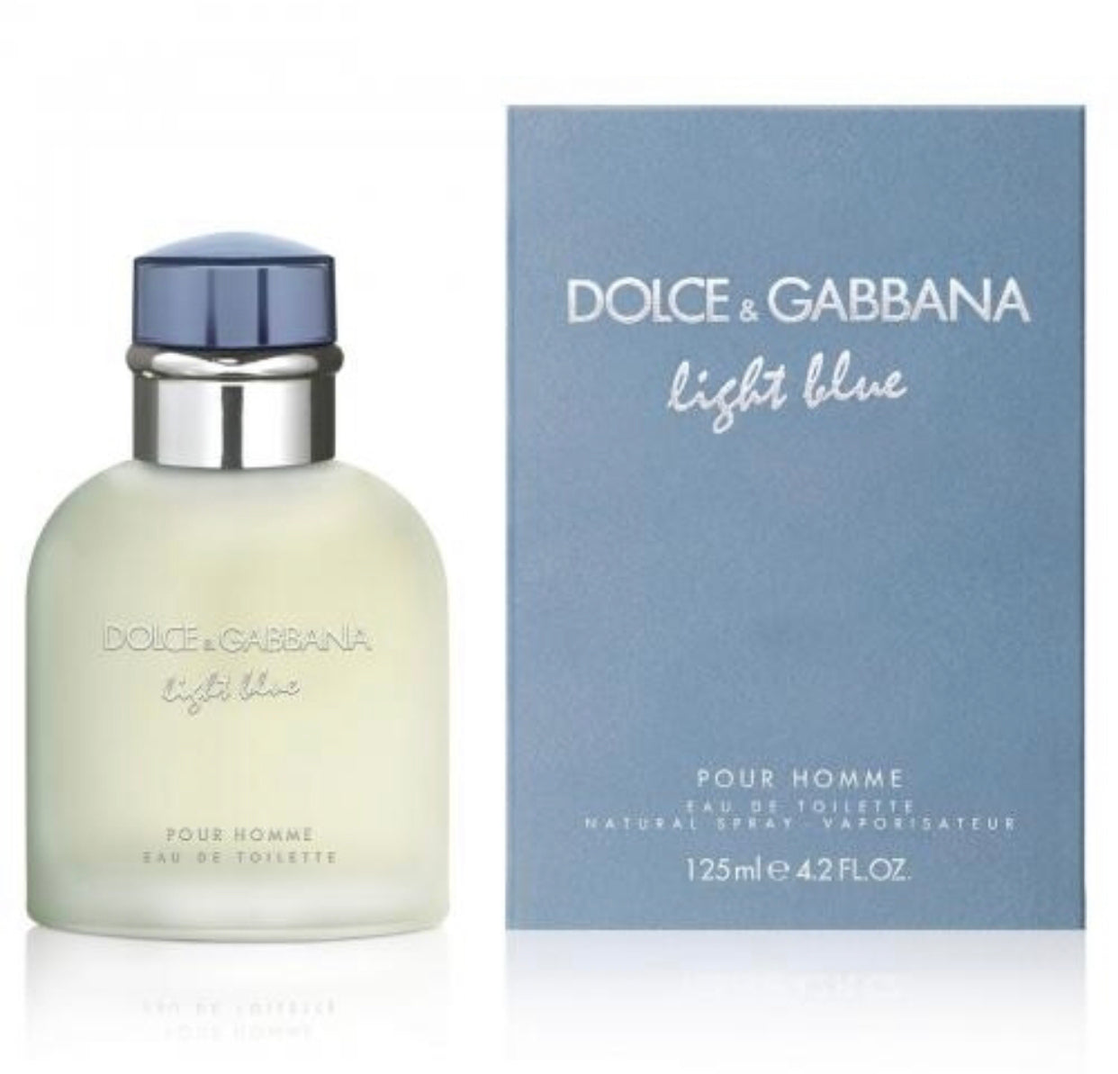 DOLCE & GABBANA ( Light Blue )